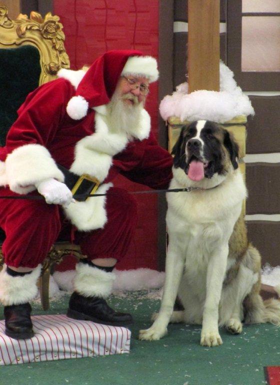 aaa Santa and Bruno (2)