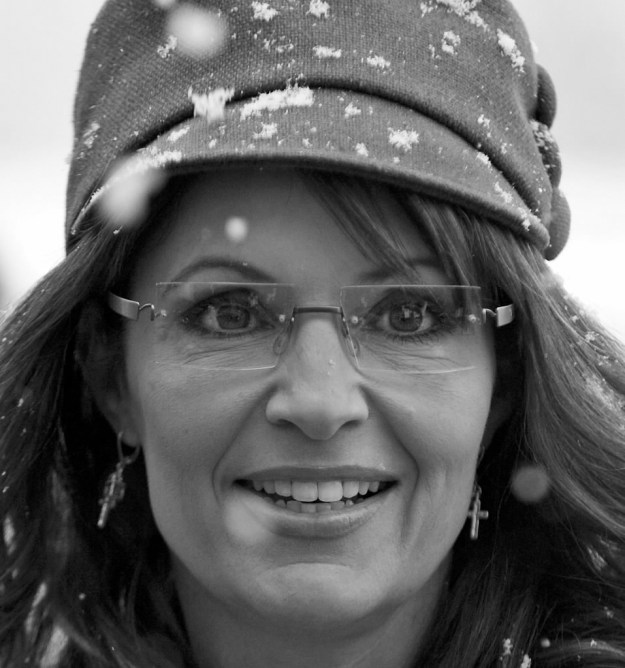 palin1 akakdkdj copy