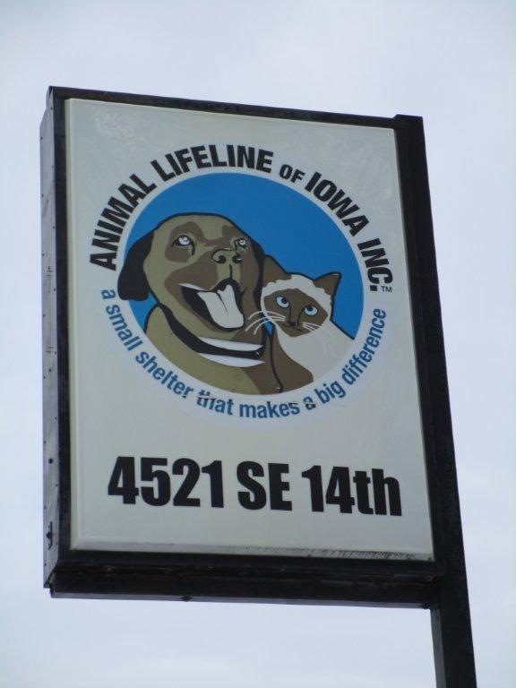 Animal Lifeline