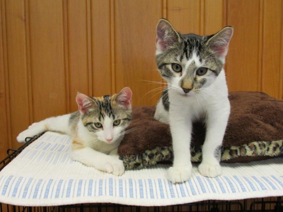 Rhoda and Ted