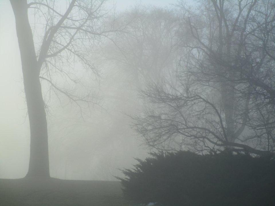 Foggy morning (2) klipl