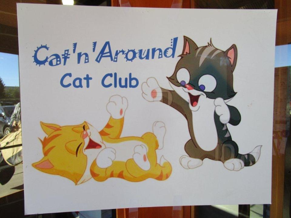 Cat'n'Around kgi
