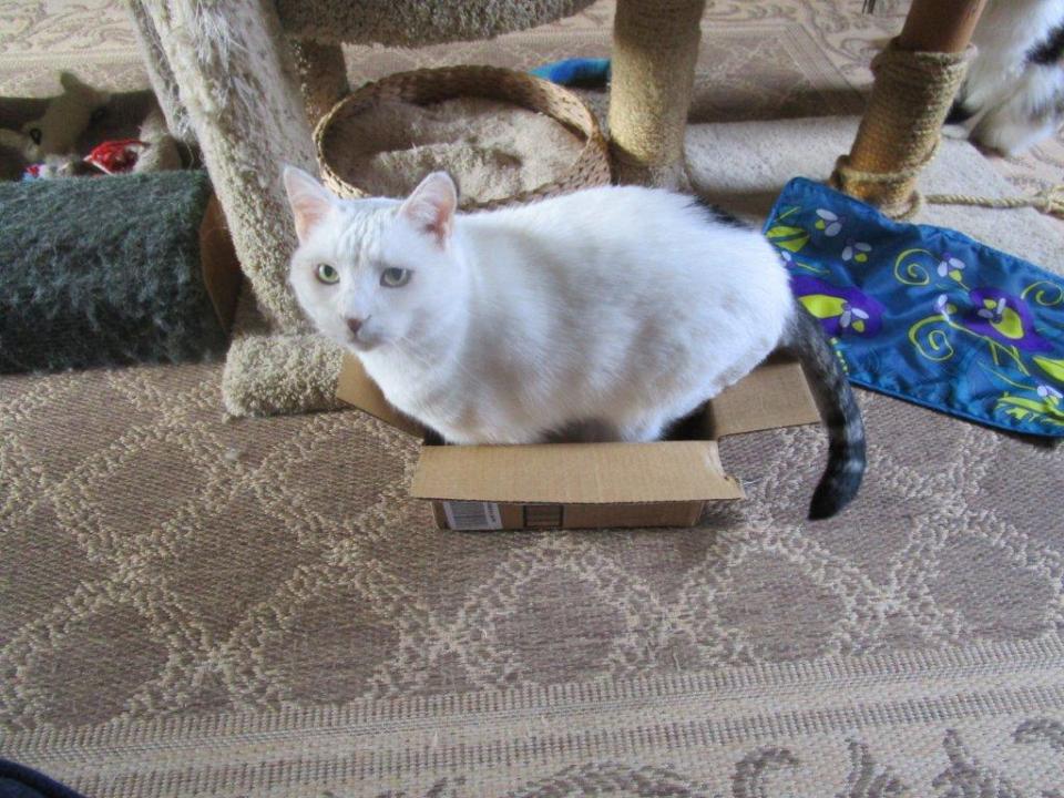 I don't fit nldlo