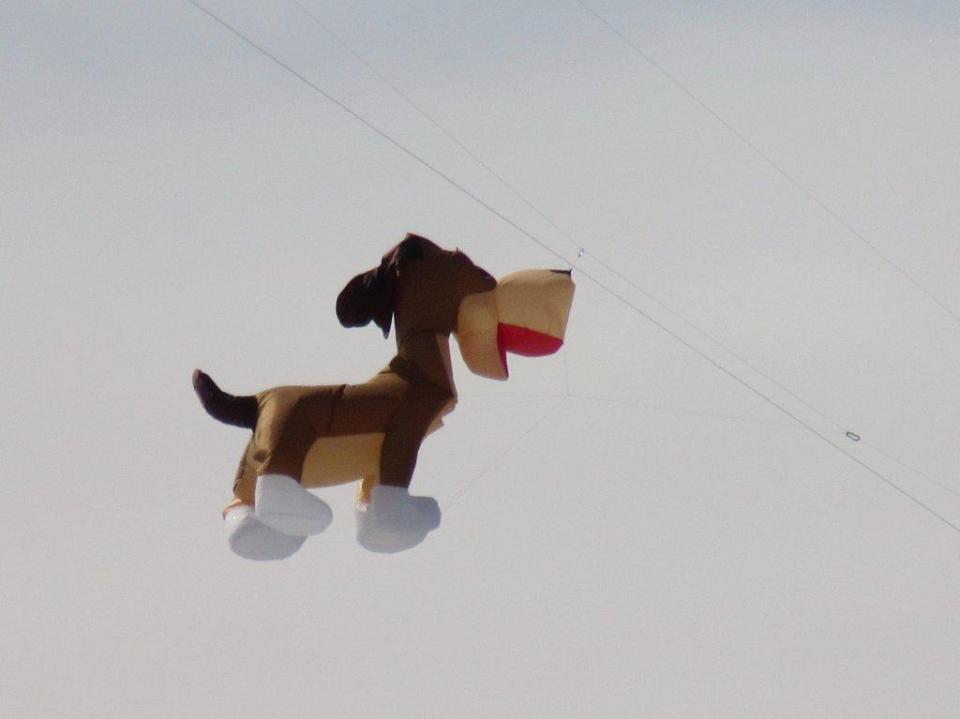Dog!