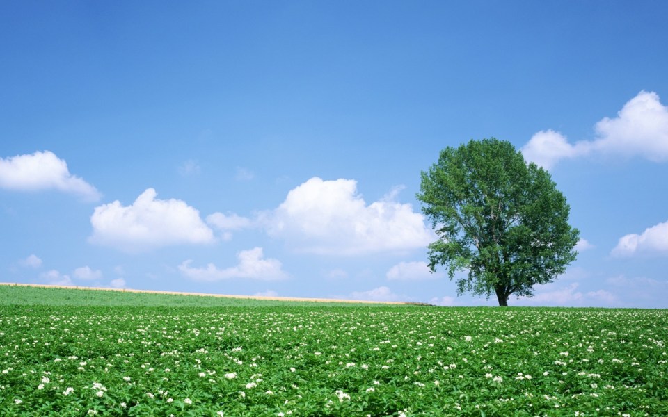 Summer Wallpapers HD 2