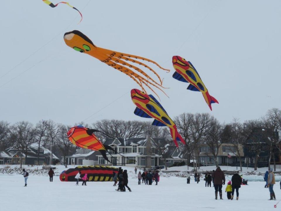 Flying fish