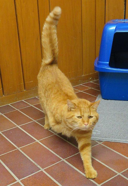 3-legged Eileen