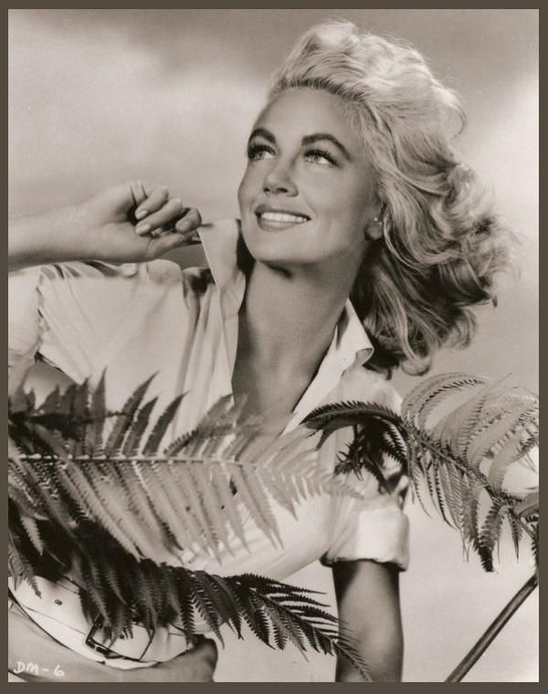 dorothy malone 3